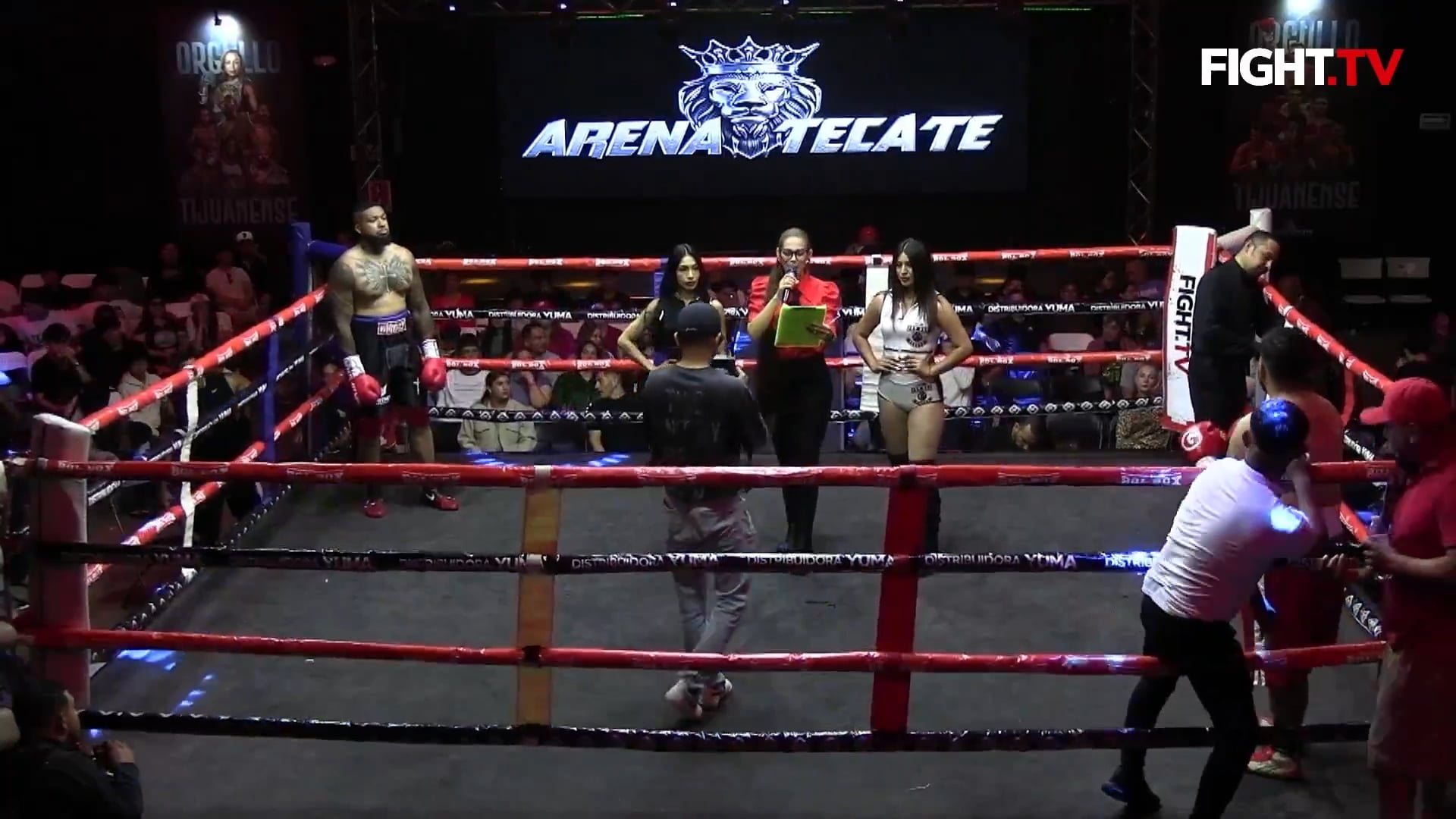WHITNEY VS GARCÍA
