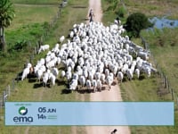 Grandes Criatórios<br>EMA Agropecuária