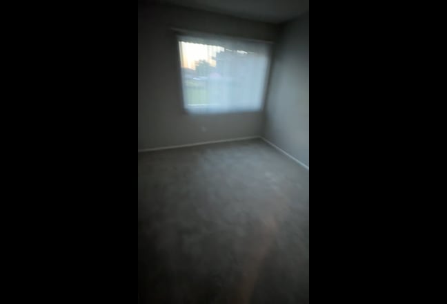 Looking for a roommate! Main Photo