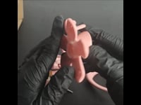 3D Printed Chastity Cage Venus Flytrap Style BDSM