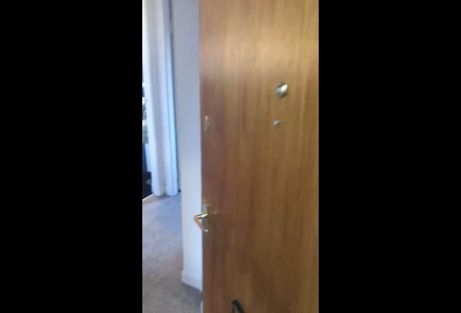 Video 1: 