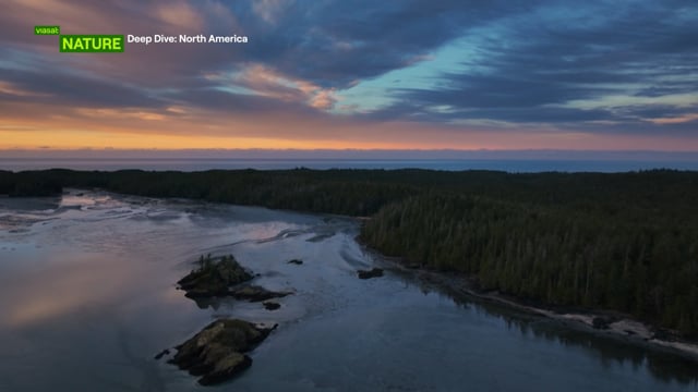 Hloubkový ponor: Severní Amerika