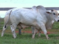 Lote 38 E 39