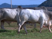 Lote 90 E 91