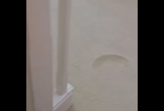 Two Spacious Rooms Available to Rent Main Photo