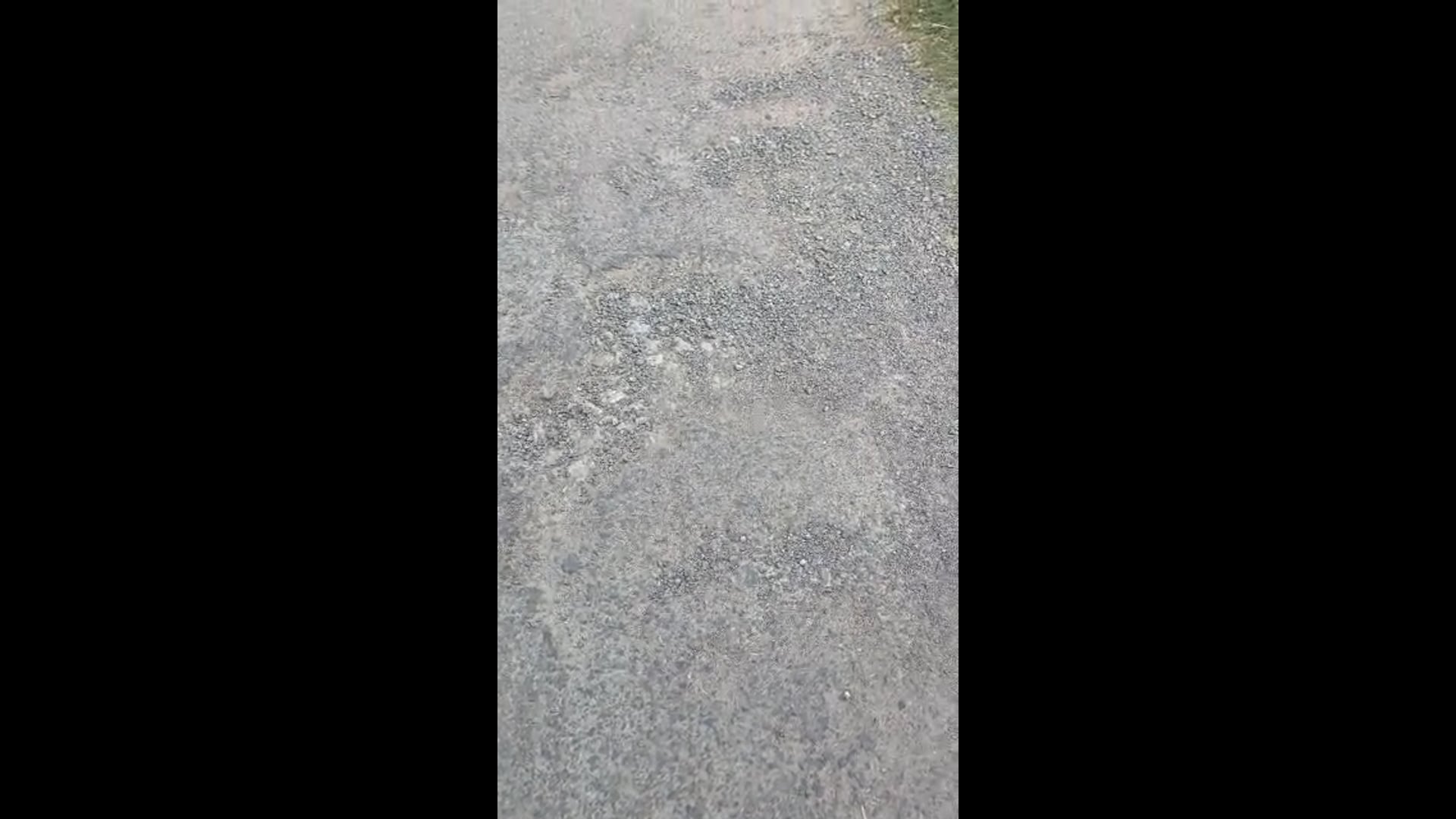 कुछ माह में ही उखड़ गया नगला का सम्पर्क मार्ग, नगला गांव जाने वाले मार्ग पर बड़े-बड़े गड्ढों से बढ़ी परेशानी