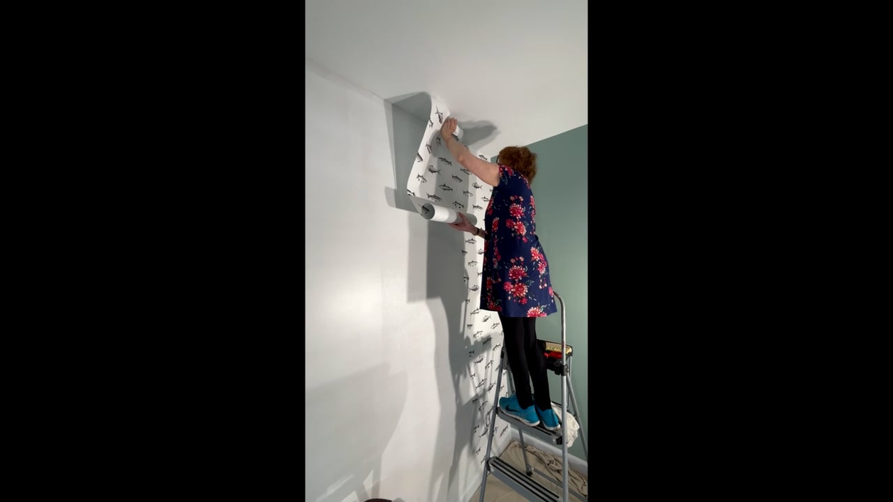 https://i.vimeocdn.com/video/2162082025-87b5c460c8df07e5c2750dff9b2637521ae0c25e2d3ce6a4388a0f808c675238-d