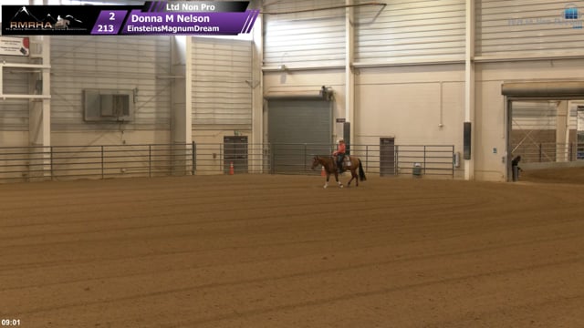 #213 Donna M Nelson