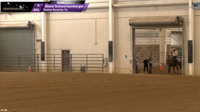 #302 Steve Schwartzenberger