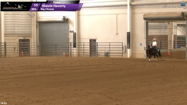 #301 Shevin Haverty