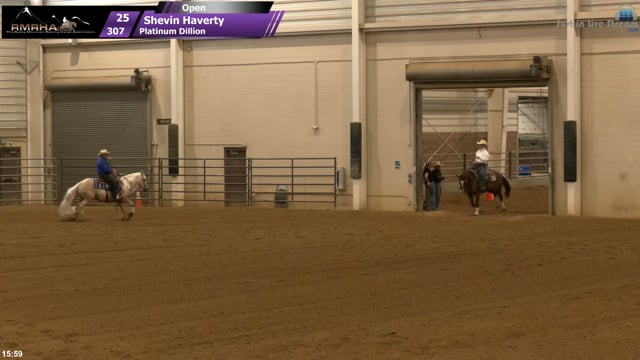 #307 Shevin Haverty