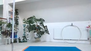 Related Embedded Video Item Thumbnail