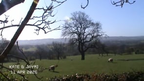 Related Embedded Video Item Thumbnail