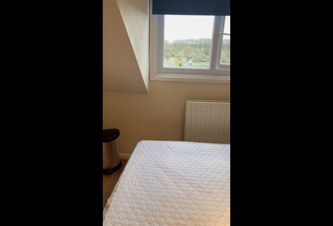 Double room available for single professional  Main Photo