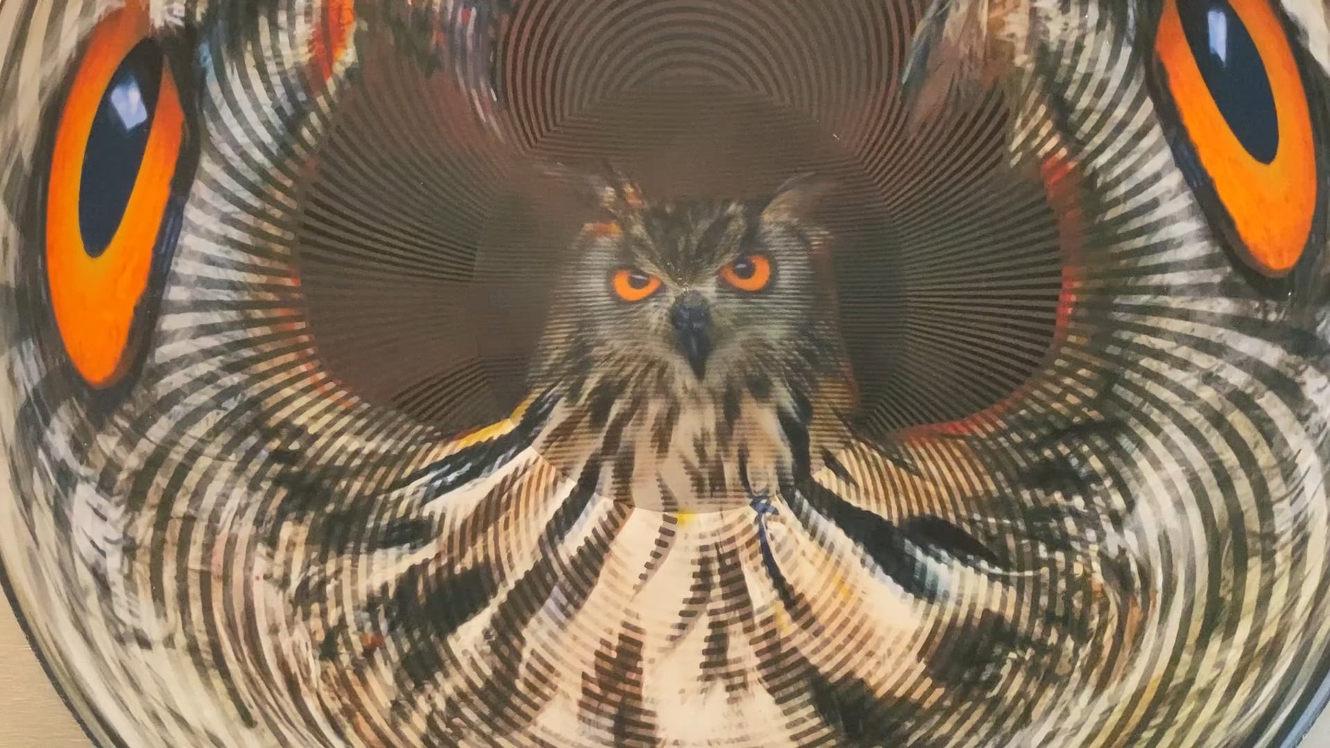 Jonty Hurwitz & Yifat Davidoff, Owl: I see, I see, Stainless Steel, Aluminium, Cotton Paper & Ink, 2020