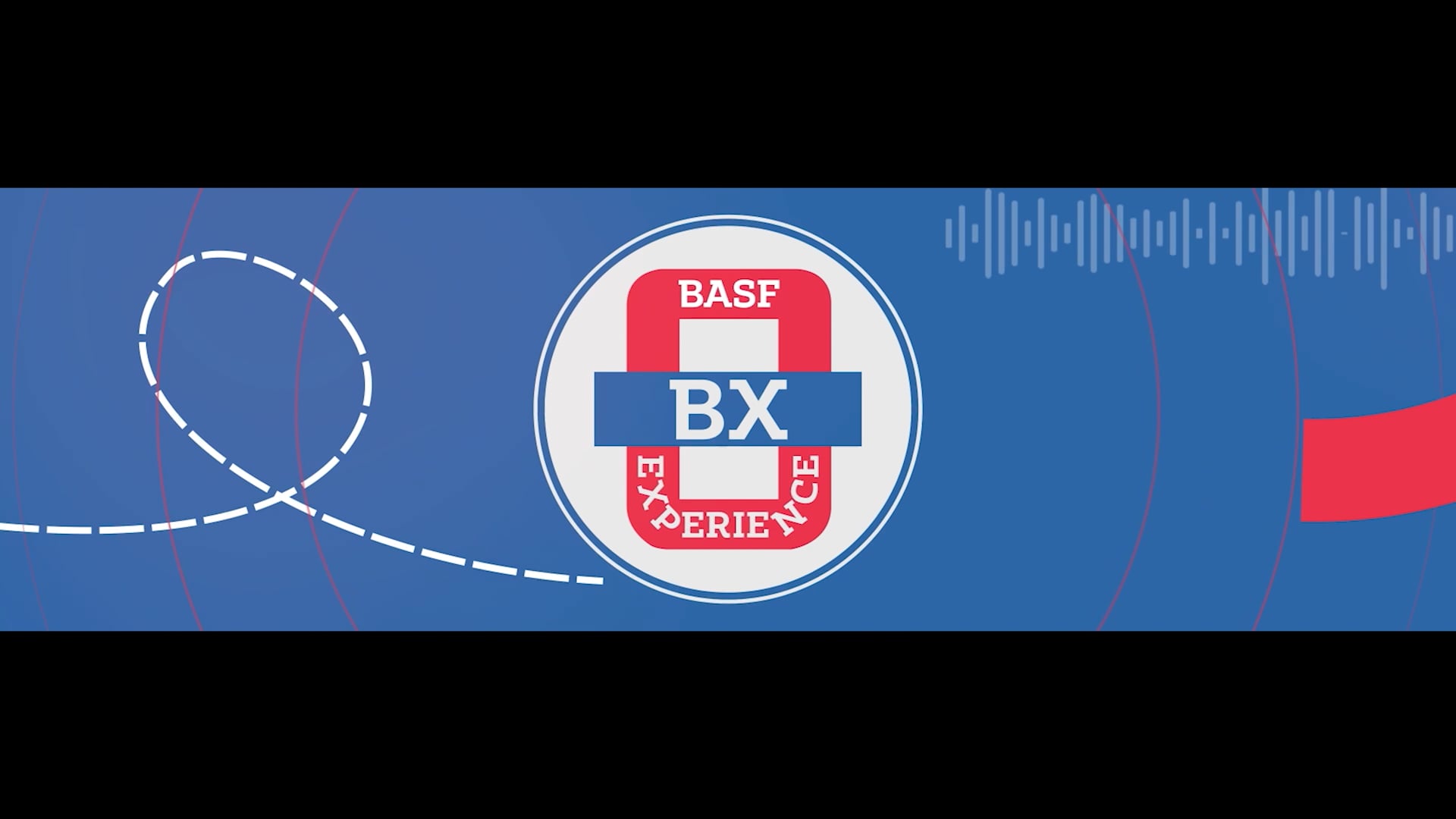 BASF BX 1.0