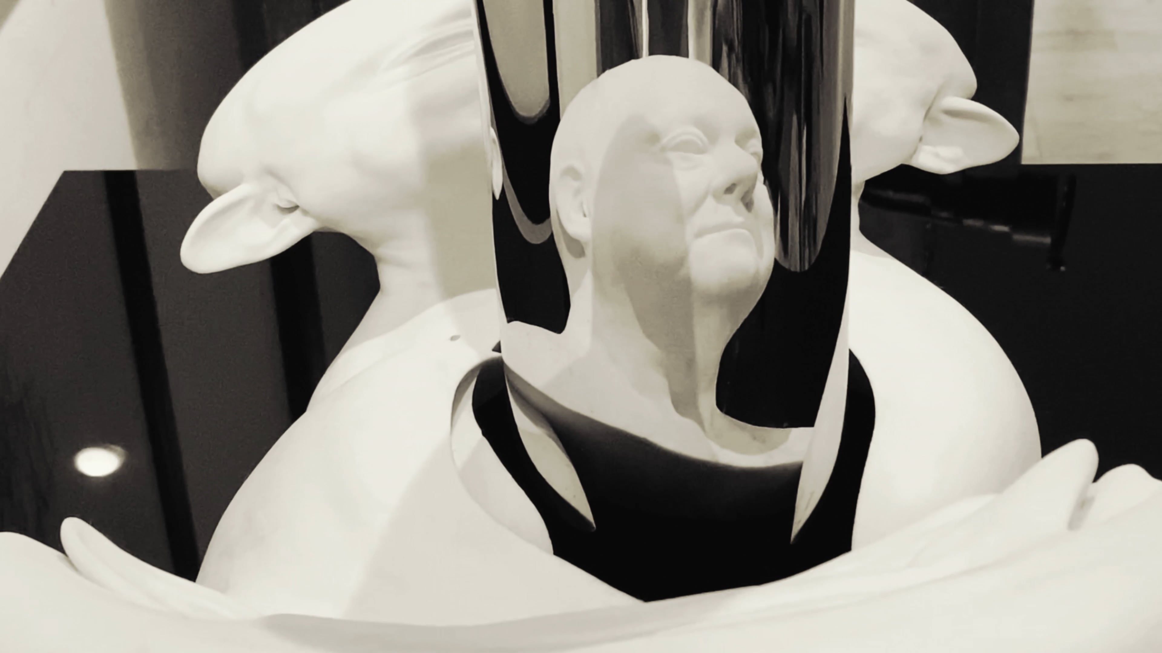 The Not-Self — The Not-Self - yoda 2.mov