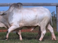 Lote 123 E 124