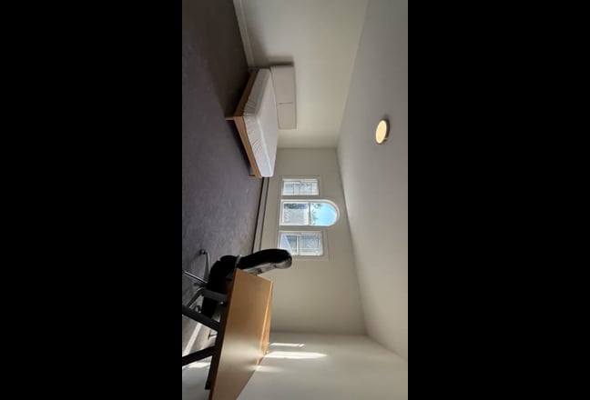Spacious room for rent located near TrinityCollege Main Photo