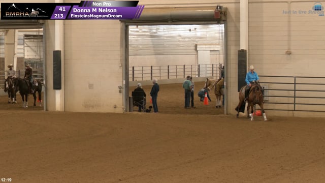 #213 Donna M Nelson