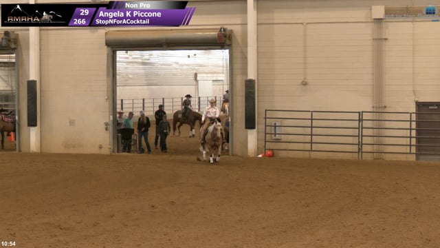 #266 Angela K Piccone
