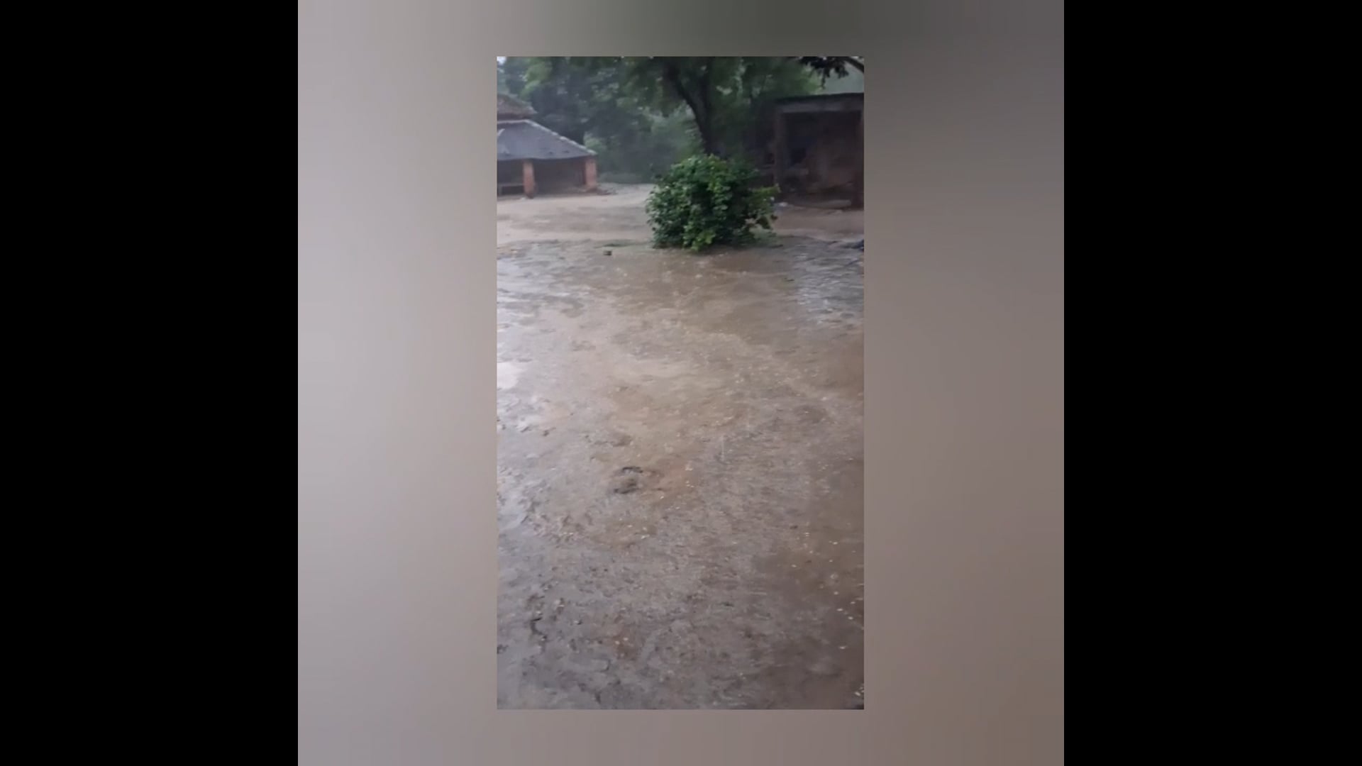 अंबेडकर नगर में जहां एक तरफ सूर्यदेव के तीखे तेवरों के कारण 'नौतपा' ज्येष्ठ मास के वे 9 दिन जब गर्मी अपने चरम पर होती है अपना प्रचंड रूप दिखा रहा था वहीं मौसम ने अचानक करवट बदल ली है। अंबेडकर नगर और उसके आस-पास के कई जिलों में तेज हवाओं और गरज-चमक के साथ हुई झमाझम बारिश ने लोगों को भीषण तपन और लू के प्रकोप से बड़ी राहत दी है।