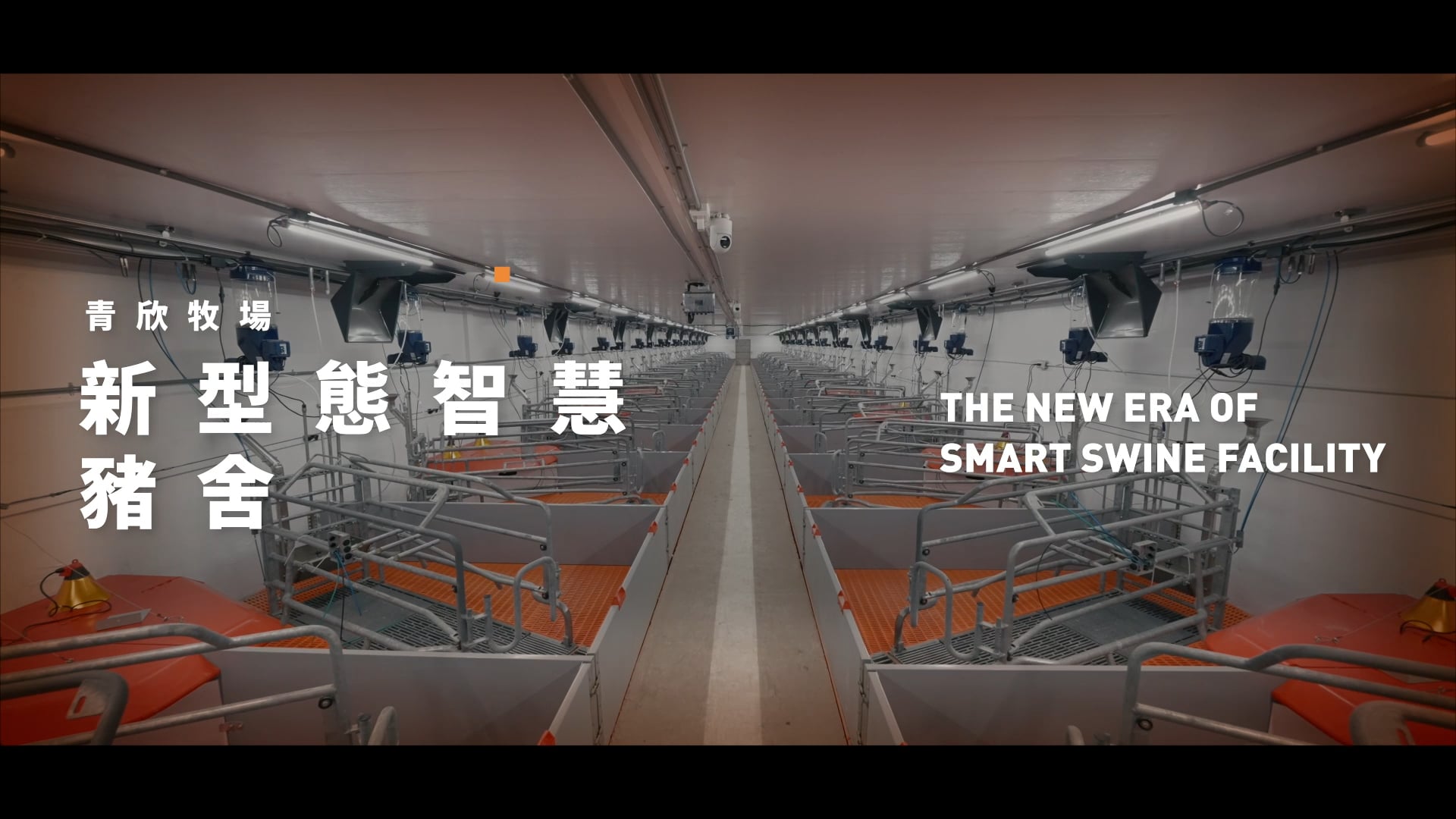 青欣牧場 2026 形象片