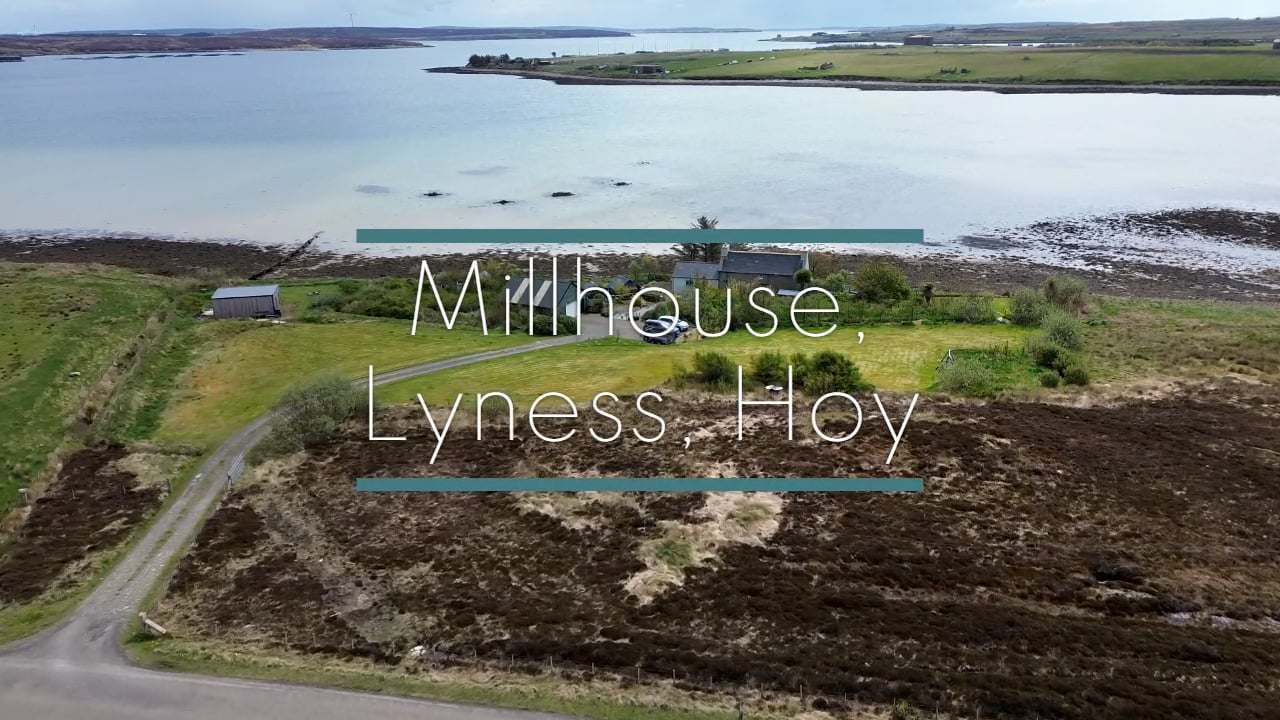 Millhouse - full video