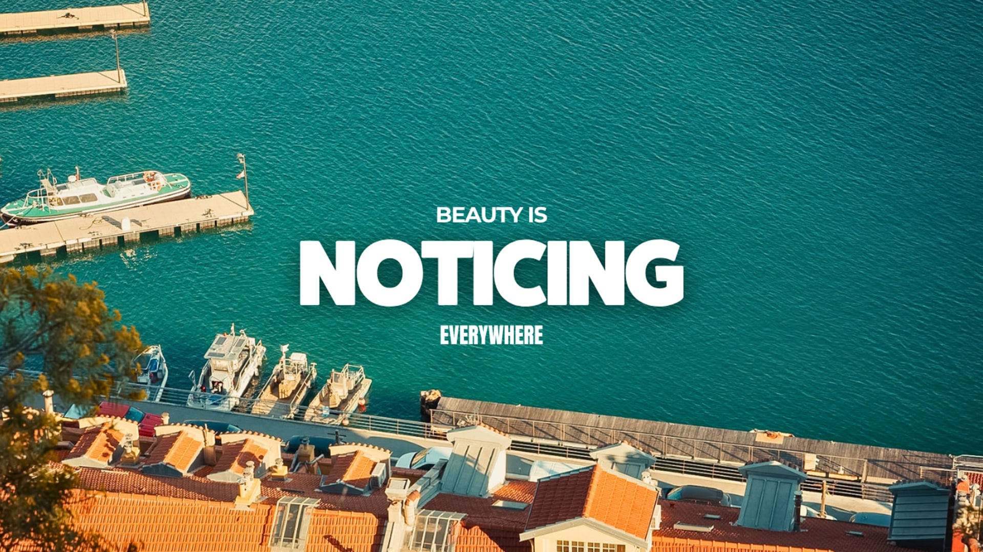 Beauty is everywhere