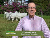 Convite Flávio Aranha<br>Bela Alvorada • Nelore Zan