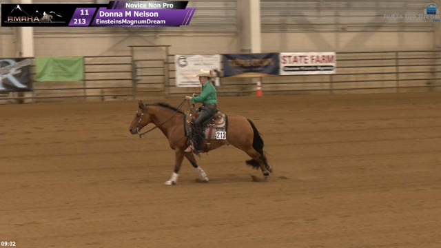 #213 Donna M Nelson