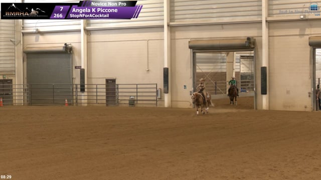 #266 Angela K Piccone