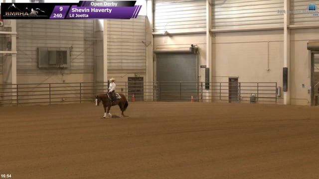 #240 Shevin Haverty