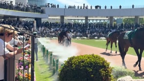 動画サムネイル