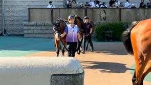 動画サムネイル