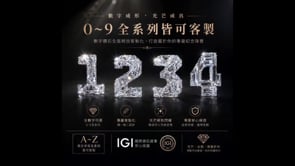 影片縮圖 27