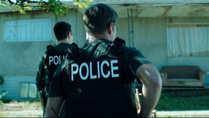 Related Embedded Video Item Thumbnail