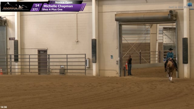 #277 Michelle Chapman