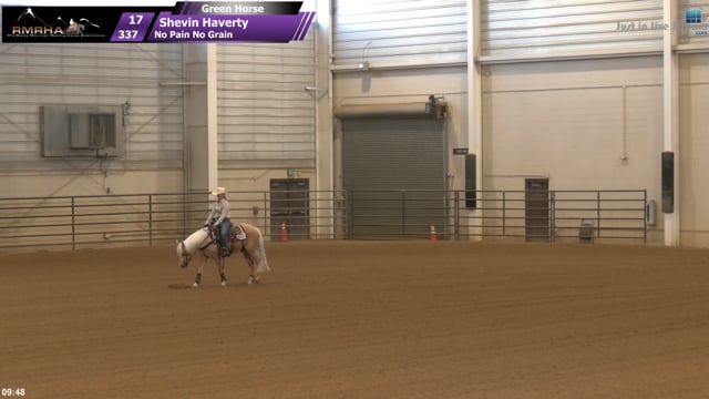 #337 Shevin Haverty