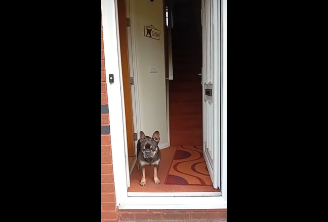 Video 1: Back garden