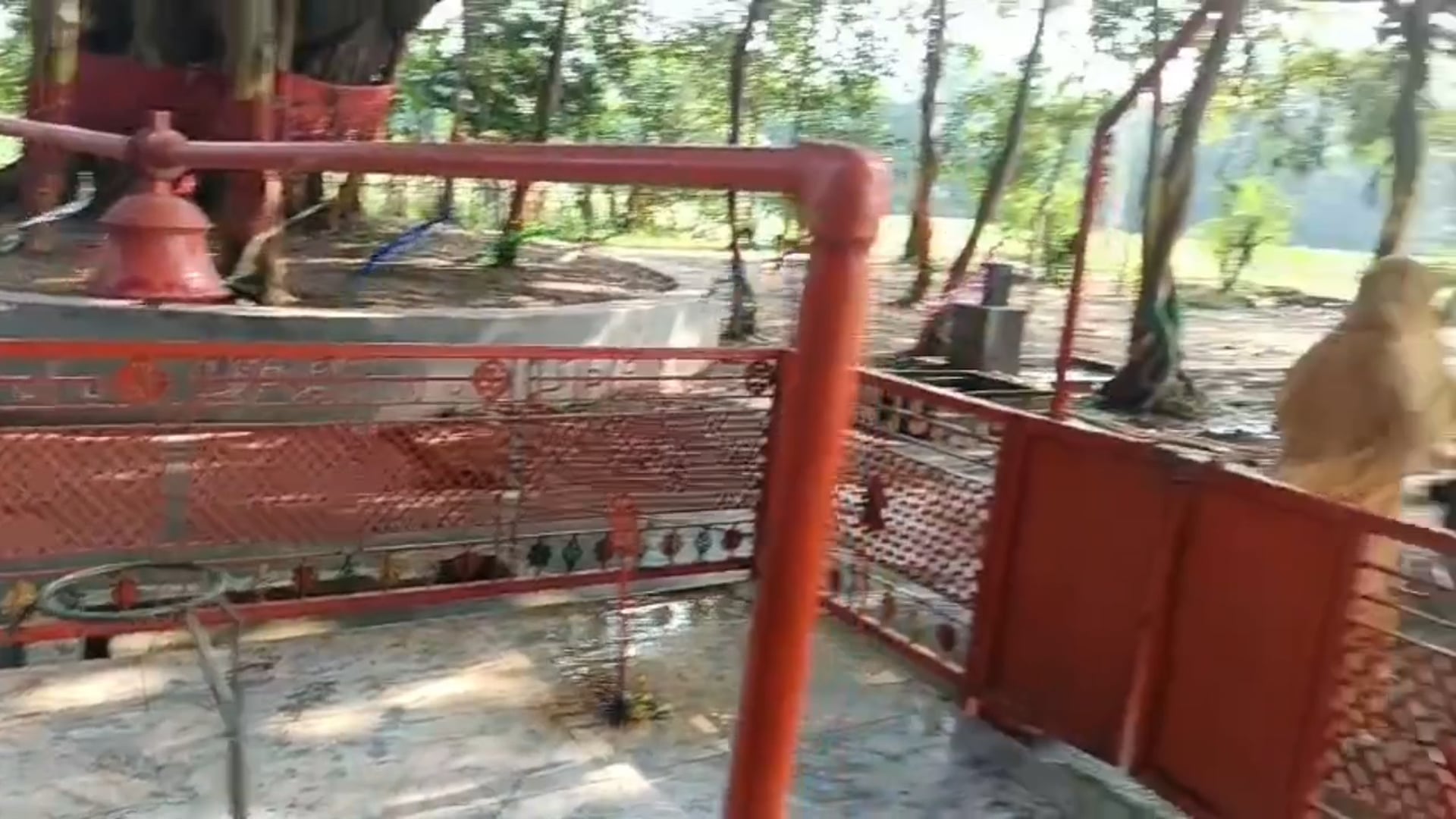 बाबा सोनमननाथ महादेव मंदिर में फिर से चोरी, शिवलिंग के ऊपर स्थित पीतल का नाग देवता चोरी।