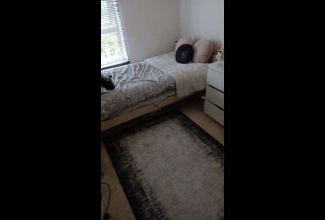 Single rm for rent. Main Photo