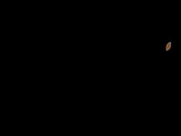 Populace Logo w words