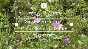 Th&egrave;me 1 : &Eacute;cho de la Nature
