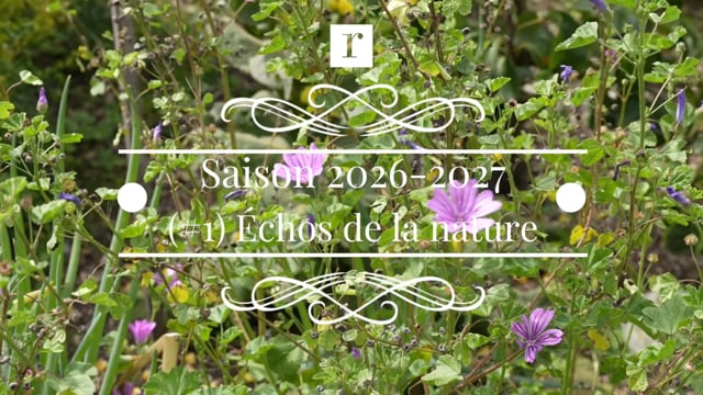Th&egrave;me 1 : &Eacute;cho de la Nature