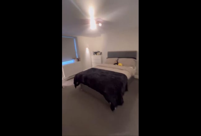 Professional looking for a Female Flatmate Main Photo