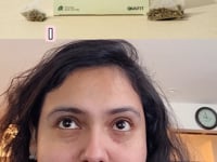 Vilma