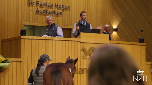2026 National Weanling Sale | TVC
