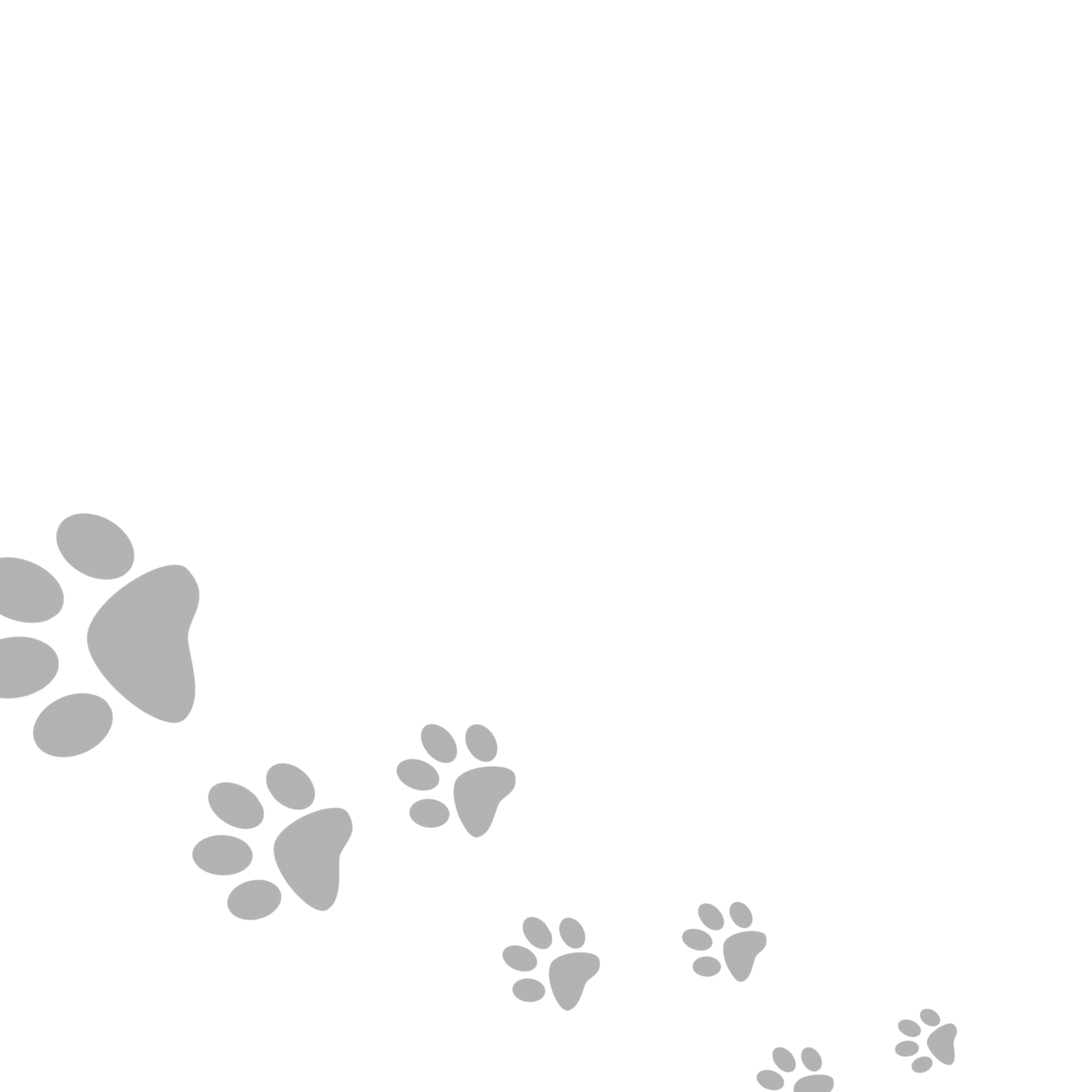 https://i.vimeocdn.com/video/2164388961-4fd6e06a5d86c71386f39fa0cba2aa86726950fc646758596785cbaa76a66960-d