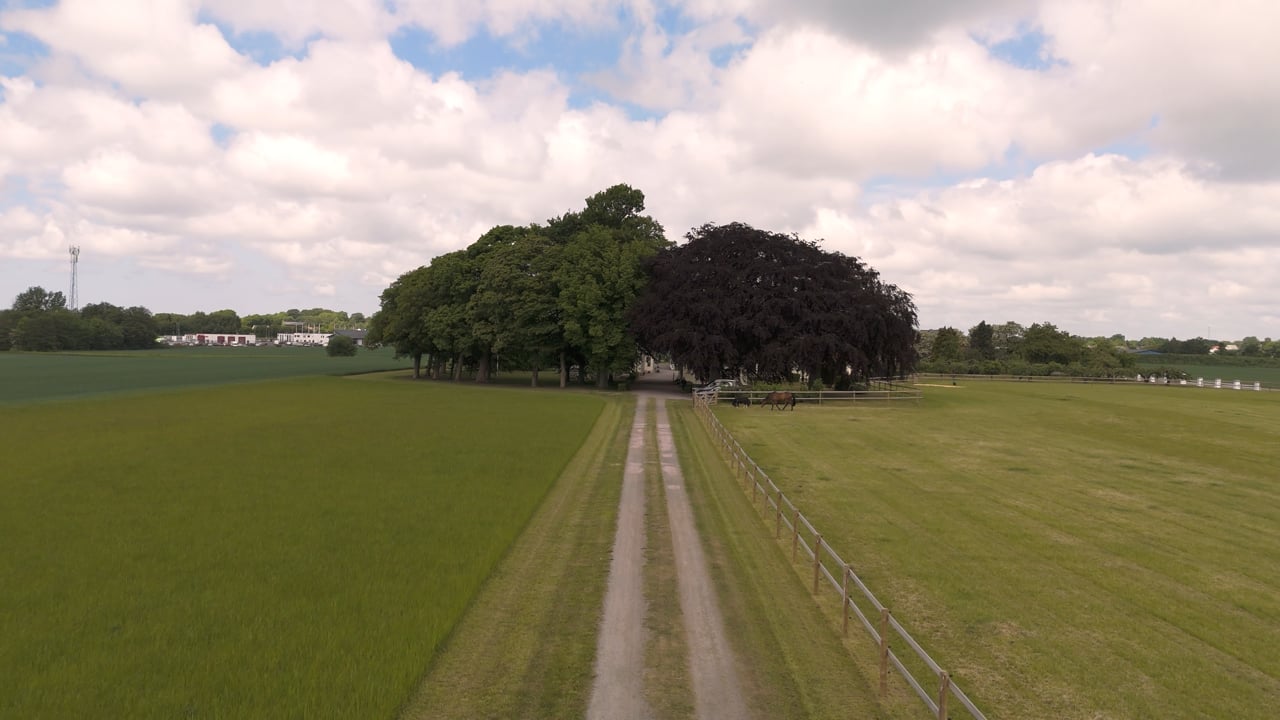 7 rum Gård/skog på Vedelöfs gård 60 Påarp Helsingborgs kommun - video